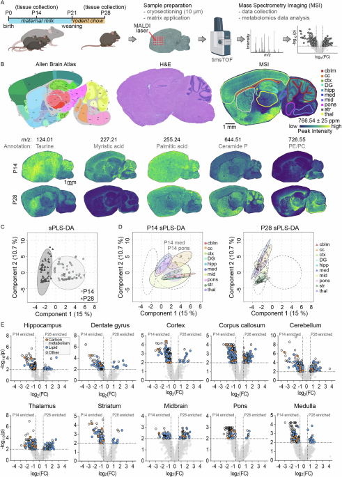 44324 2025 98 Fig1 HTML