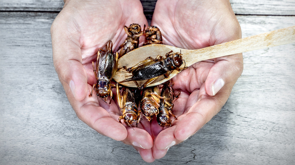 698c8cb520302734d74c8cc1