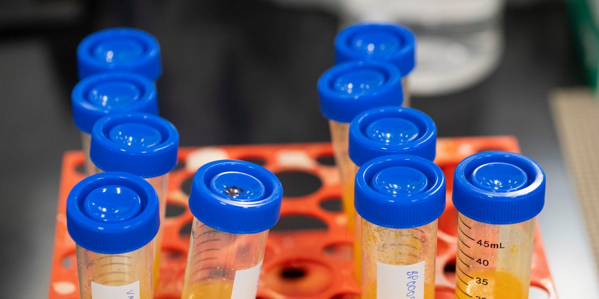 69976fa3a645d1188189a00f