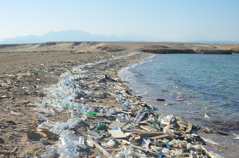 960px Beach in Sharm el Naga03