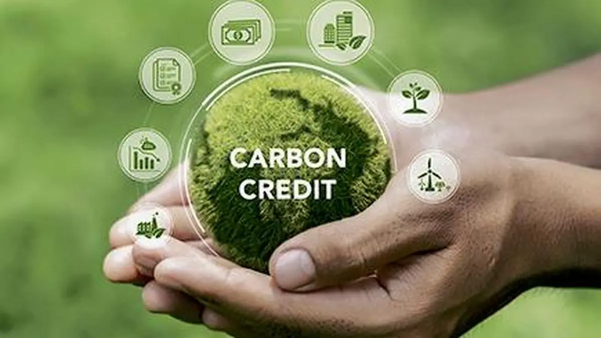 Carbon trading platform likely to be functional by September: Government official 1 Govt notifies GGSBFFN3A8.4.jpg