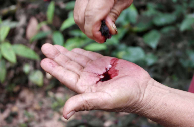 IMG 3547 1 crop 1536x1008 1