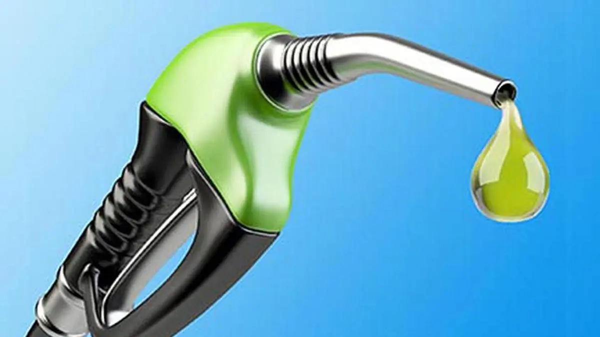 Excise waiver for biogas blending, clear policy line can unlock 1 lakh crore investment: IBA 1 IMG IMG BL2612 Quantum T 2 1 U2BBNPHI