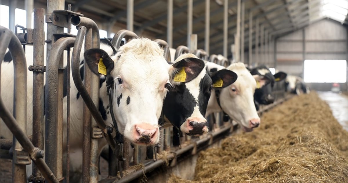 RX4S5TZ2IFAWPCJZZHZNCYR3RM