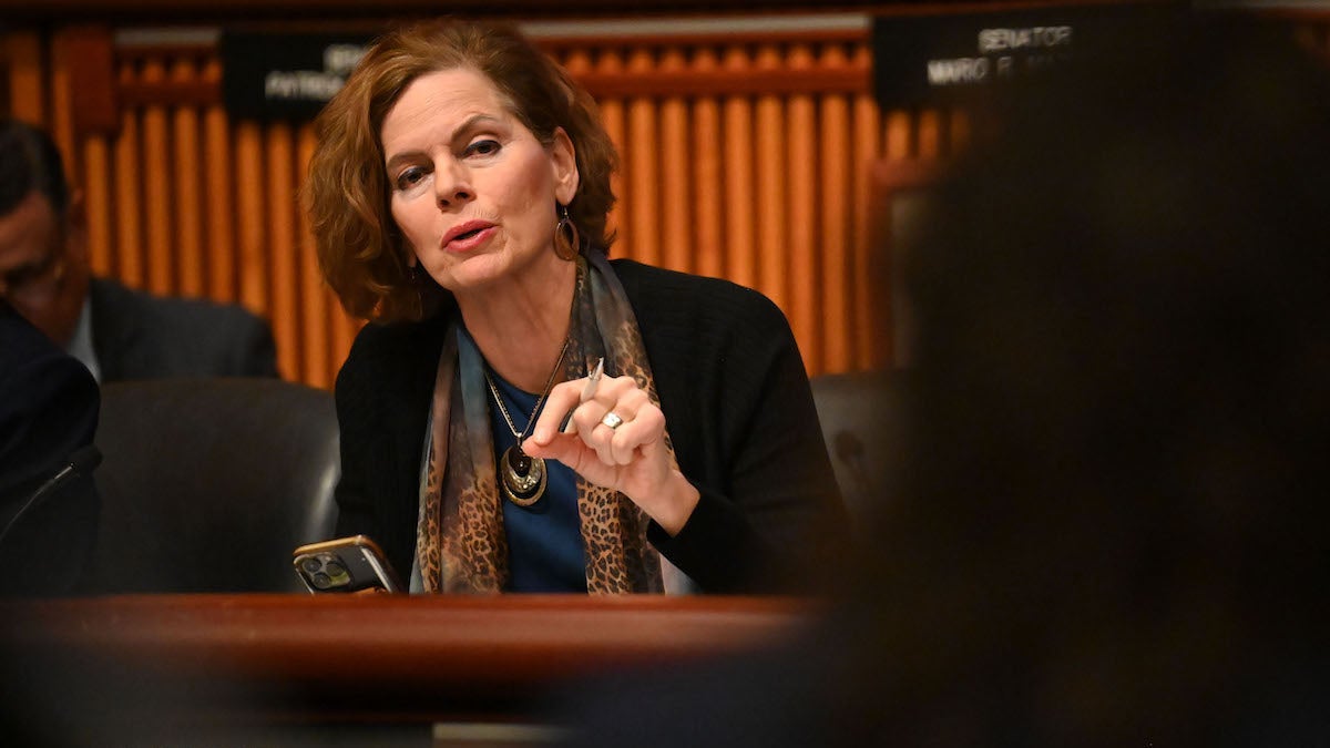 Senator Patricia Fahy