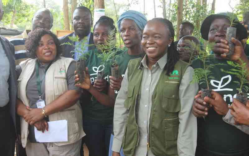 Kenya launches national carbon registry to boost transparency 1 bw7OU6PQflMeCNHLglyLrcslpYHY5e383EOYhB8V