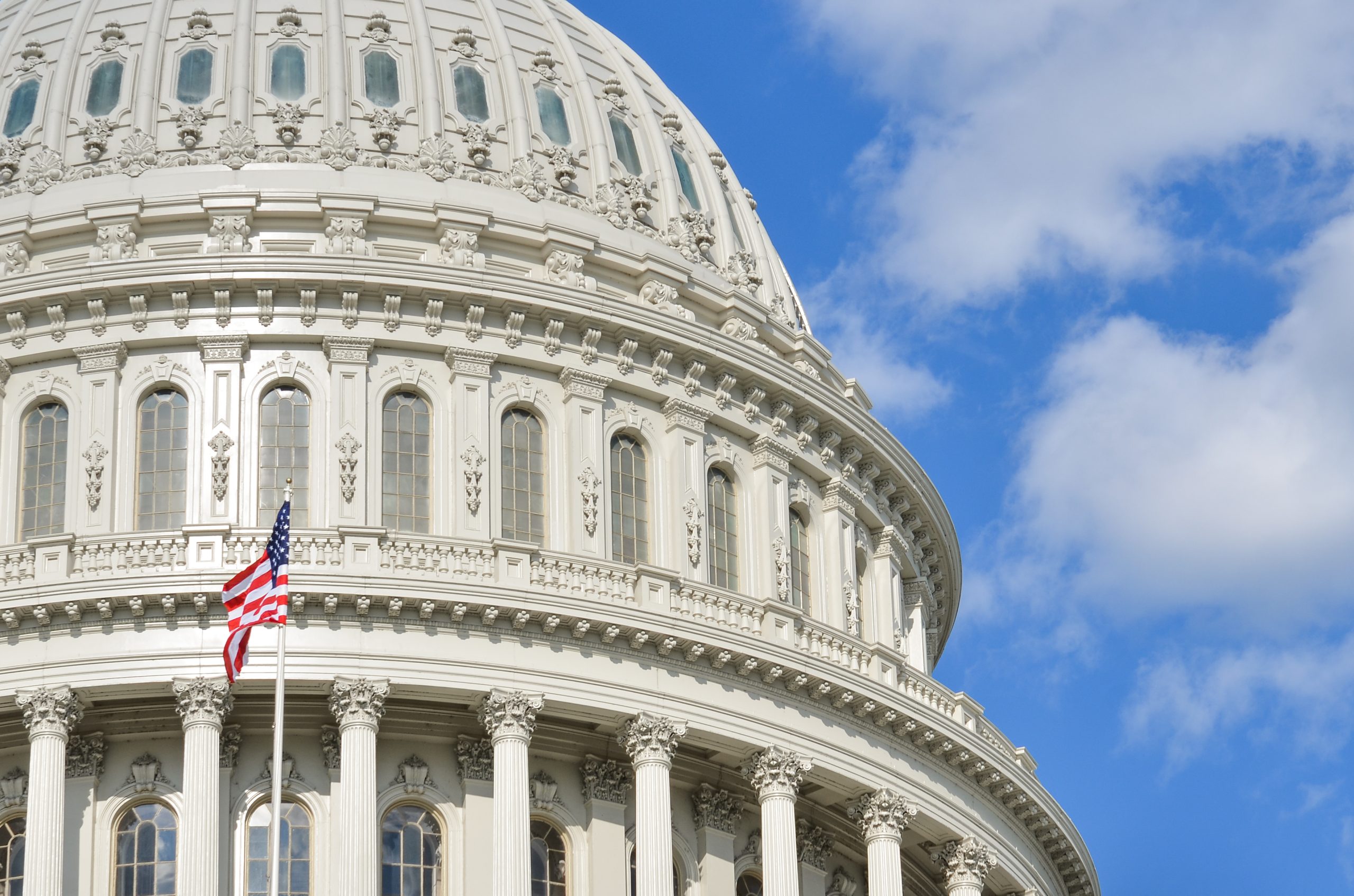 cap20dome20original20size 4 scaled