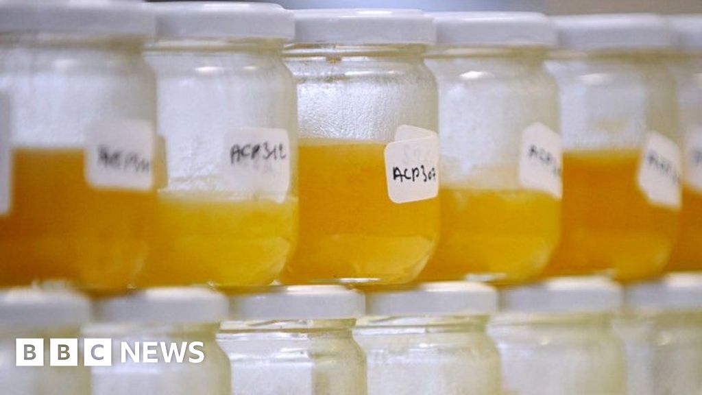 f6d5bbd0 001d 11f1 a8b8 bdd2c5f9bcad