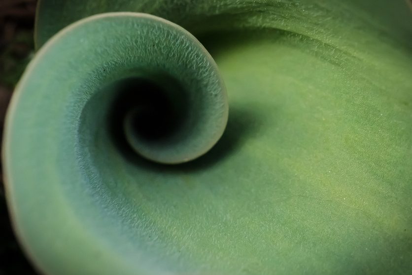 The circular mining moment: Turning waste into worth - Open Access Government 5 iStock 2229431985 e1771865384523