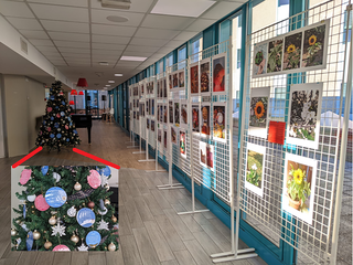 Ten simple rules for coordinating a large digital health project: Perspectives from EU and implications for global contexts 1 image 32