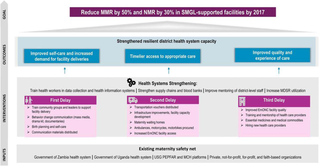 The sustainability of public health programs following donor transition: A comparative case study of HIV services and maternal and newborn care in Uganda 1 image