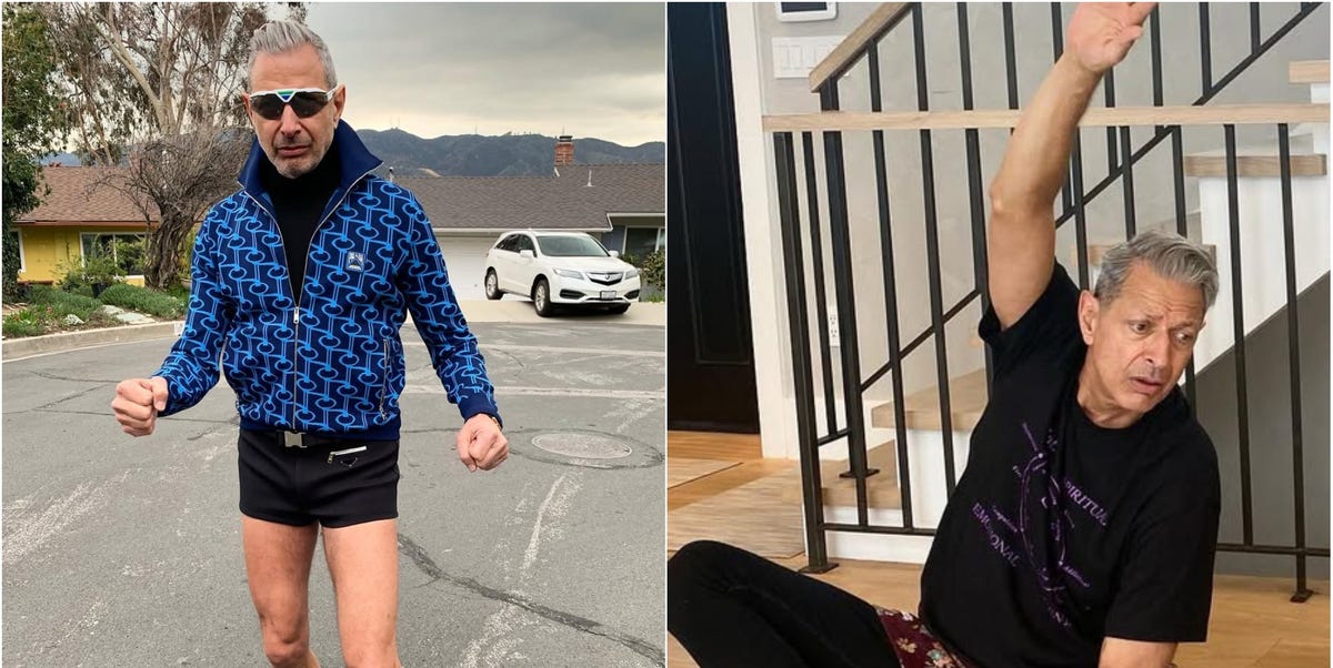 jeff goldblum 698b51984ea7e