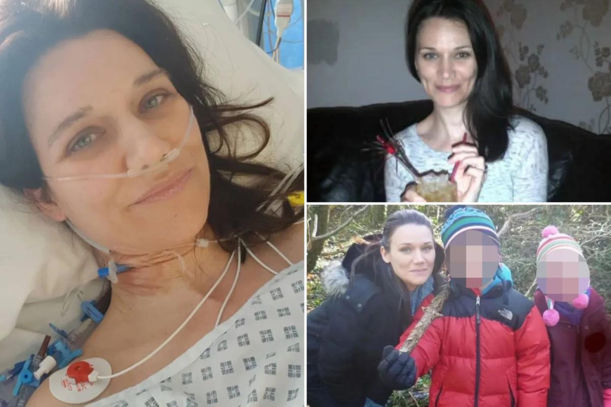 newspress collage y33t00od9 1770227379789