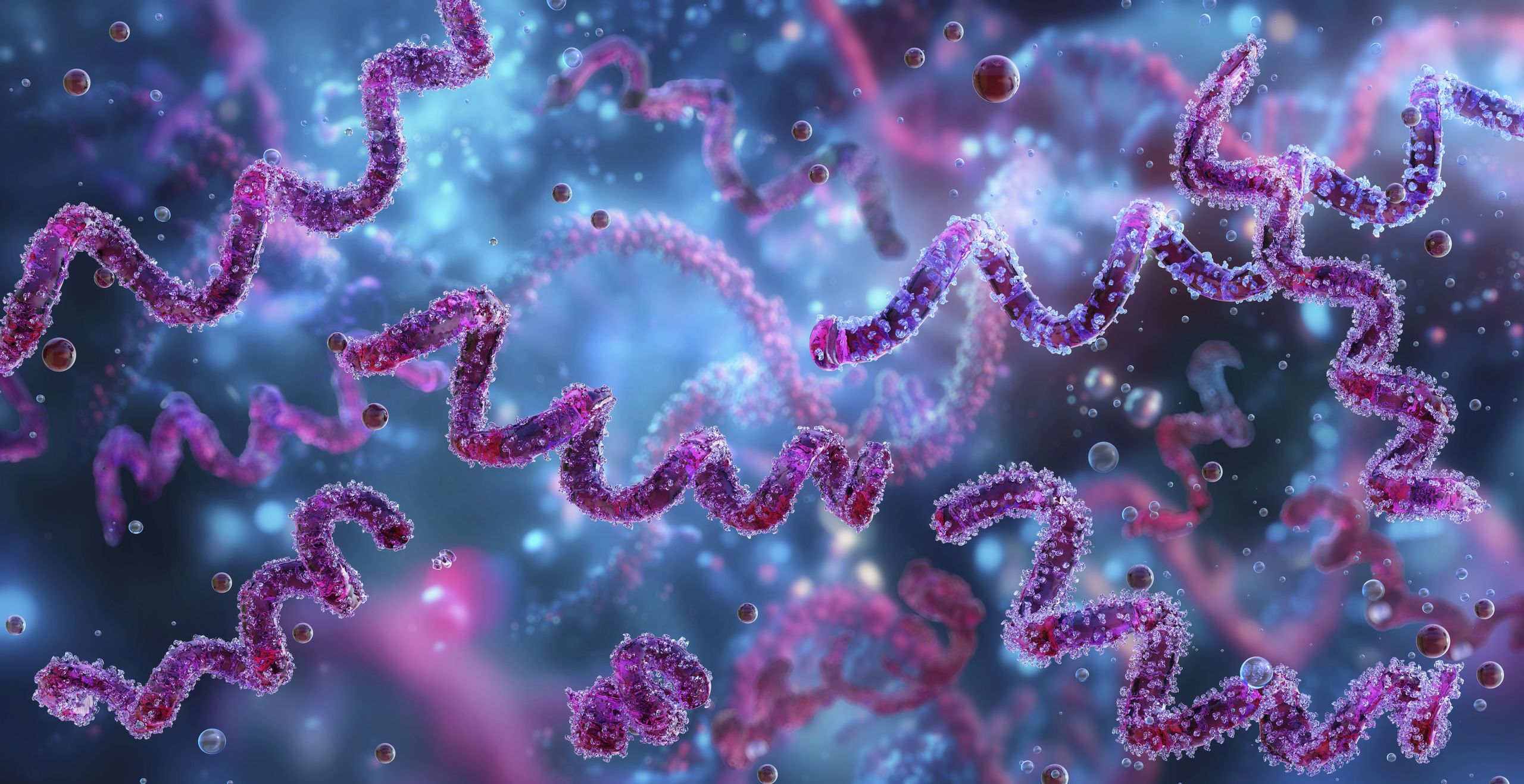 qWVxfaL9NzqDKKHNvTmKLV 2560 80