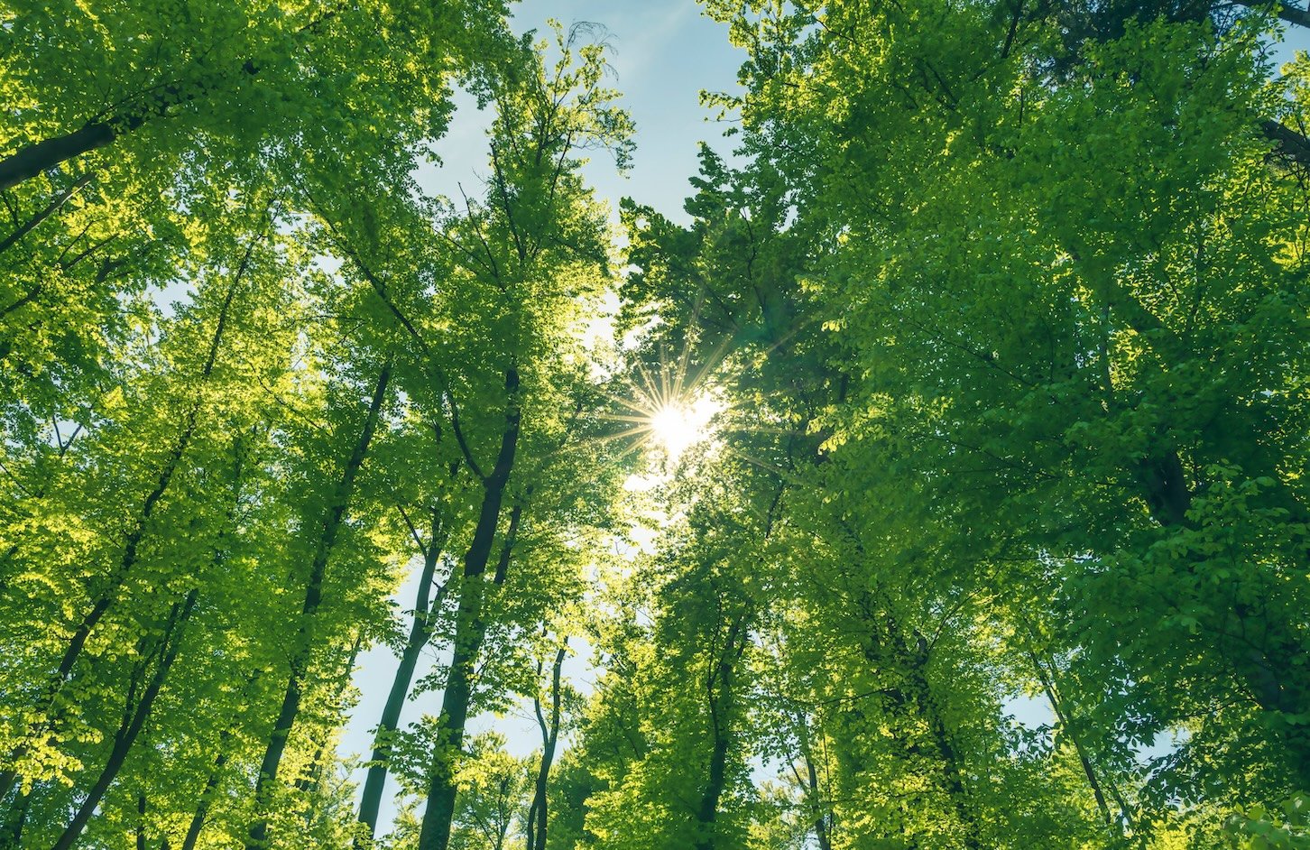 shutterstock 1724592682