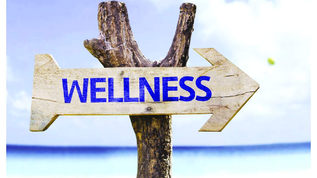 the new age of wellness ayush anchors india s future ready holistic health architecture 2026 02 11