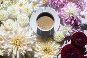 wellness rituals make you happy GettyImages 1450562280 ae261fc05fbb49acab79766fb6ef03dc