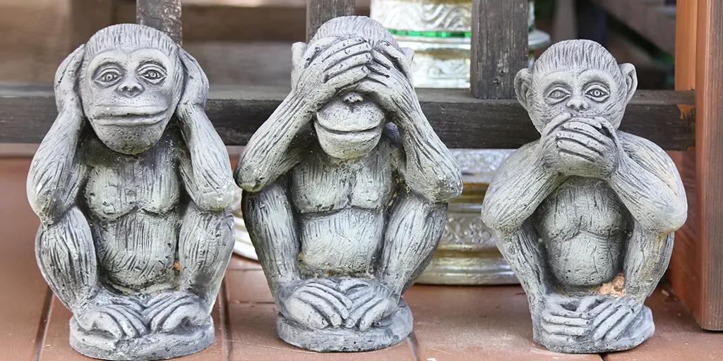 CCC Deny Reality 1 101435273 m