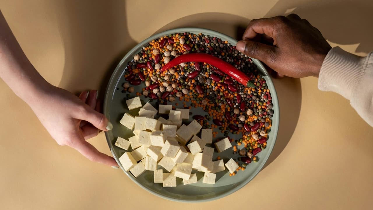 20260306040221 plant based protein