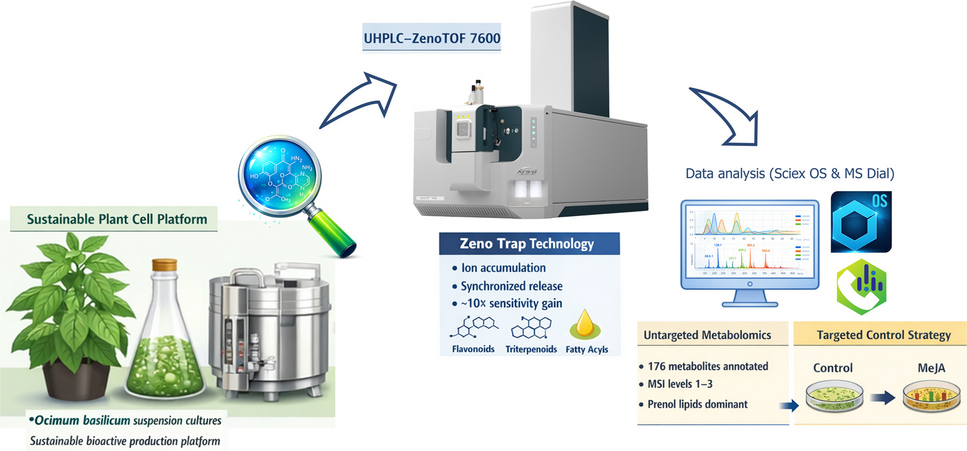 216 2026 6412 Figa HTML