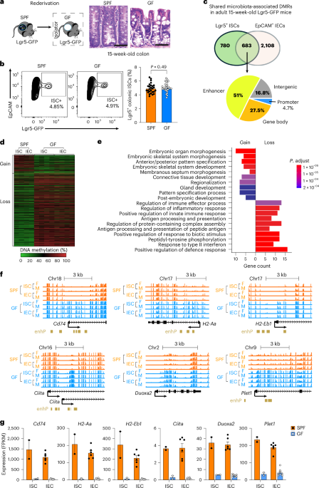Weaning drives microbiome-mediated epigenetic regulation to shape immune memory in mice - Nature 1 41564 2026 2295 Fig1 HTML