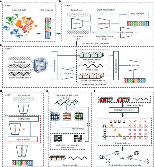 DECODE: deep learning-based common deconvolution framework for various omics data 1 41592 2026 3007 Fig1 HTML