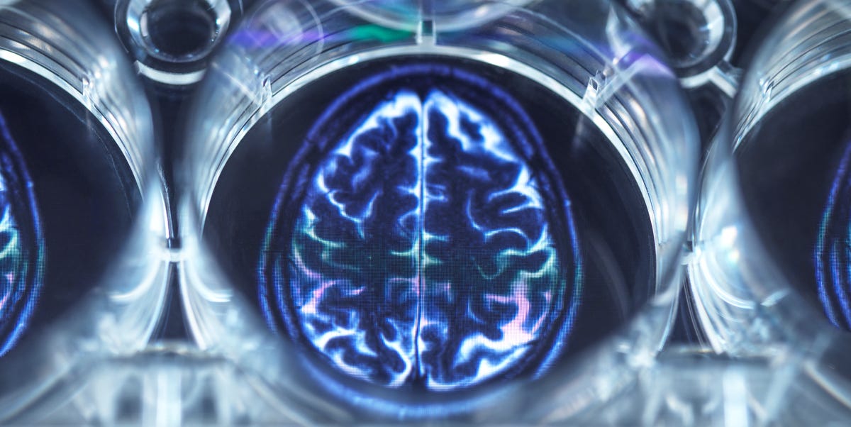 41b9e5df 0817 425a b56d 613bfa79d16b