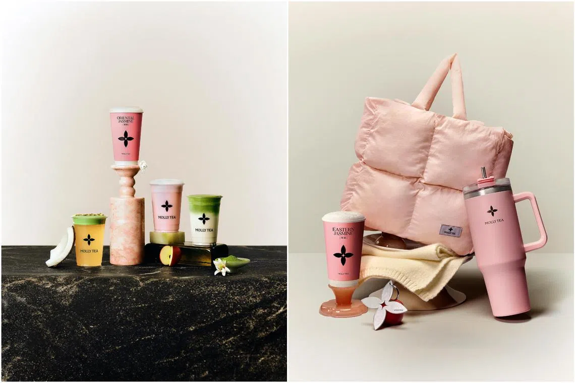 Chinas famed Molly Tea debuts on March 3 at Orchard Central, full menu launch from March 9 4 700dd5a9c16e268291a834d0a9d16789271689cdfb17ec95b684c3b9f9b25859