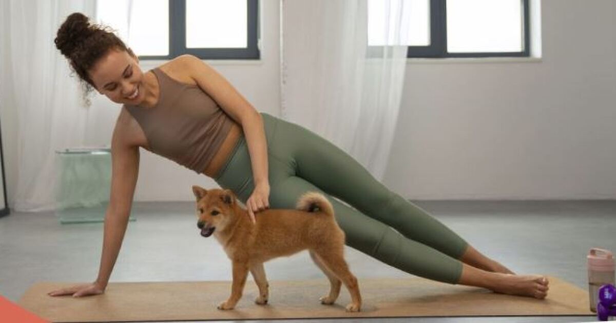 Dogs and their people invited to Pilates class Saturday in Fort Myers - WGCU 1 90 10