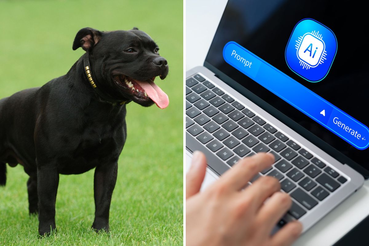 Copy of 32 Split Screen 39