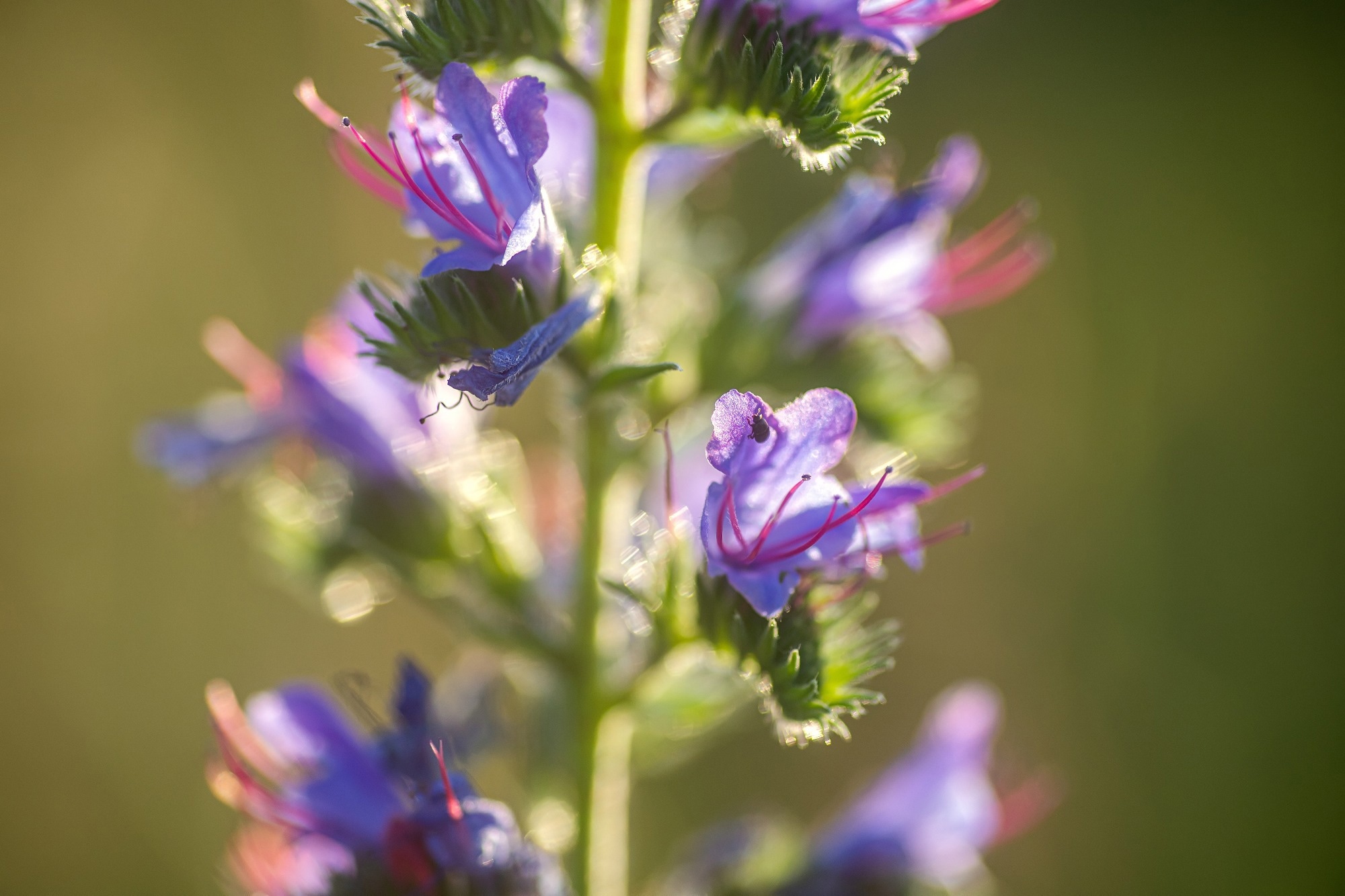 ImageForArticle 27304 1773109868316576