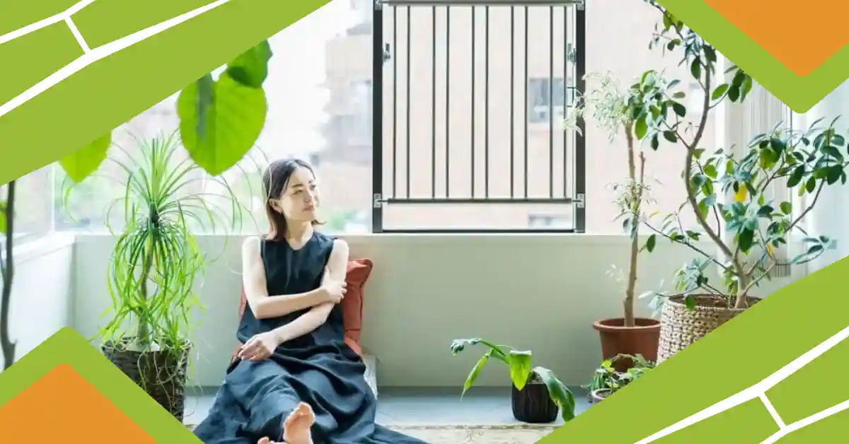 Japanese Lifestyle Habits