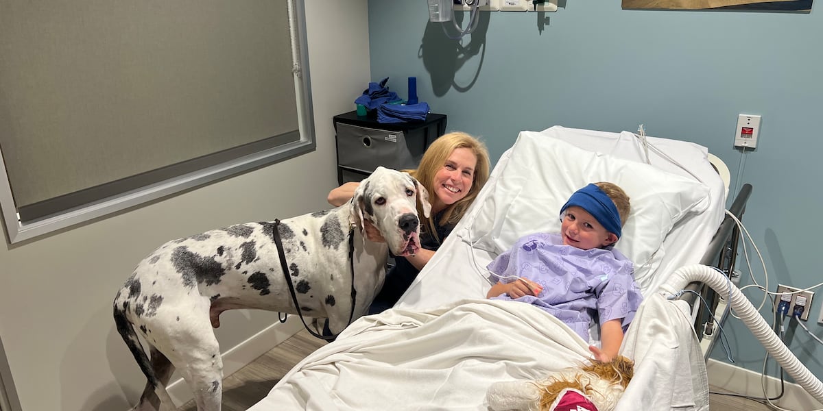 KTH5HVJPHNEIBIORWCTUTCFD34