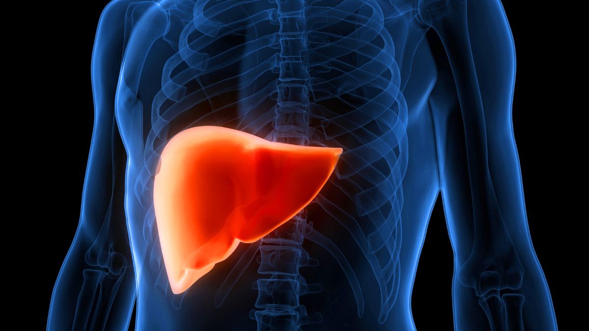 Cannabis Compounds May Reverse Fatty Liver Disease, Study Suggests 1 LiverDisease