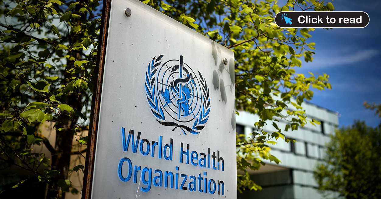 Screenshot 2026 03 26 152241 ds social