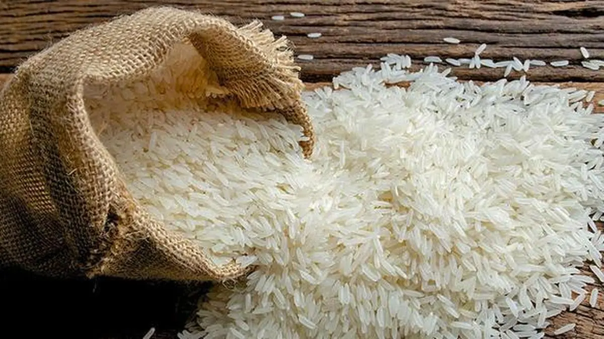 WTO face off UG9CF772AB.4.jpg