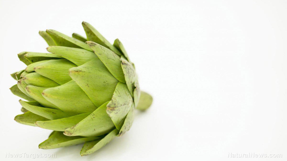 Whole Artichoke Vegetable Leaves
