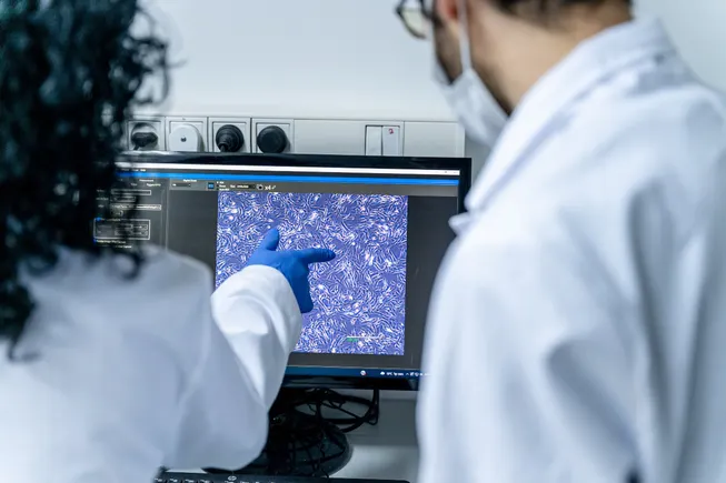 AI is raising the stakes in functional ingredient formulation - Food Dive 1