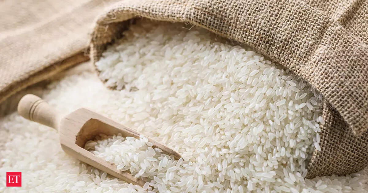 Indian export rates steady as demand slows, Vietnamese and Thai rates fall 5 articleshow 13