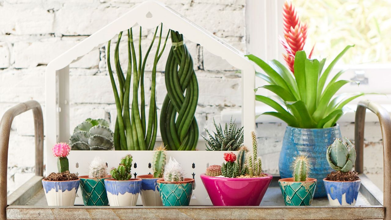 citK7enkzpiB6W8BaVJJ26 1280 80