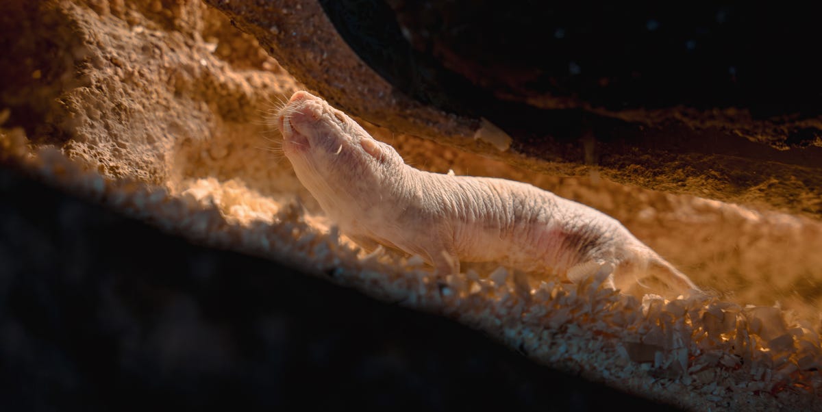 fe56c93e 3cc3 437c b55a 45e1fdd466c1