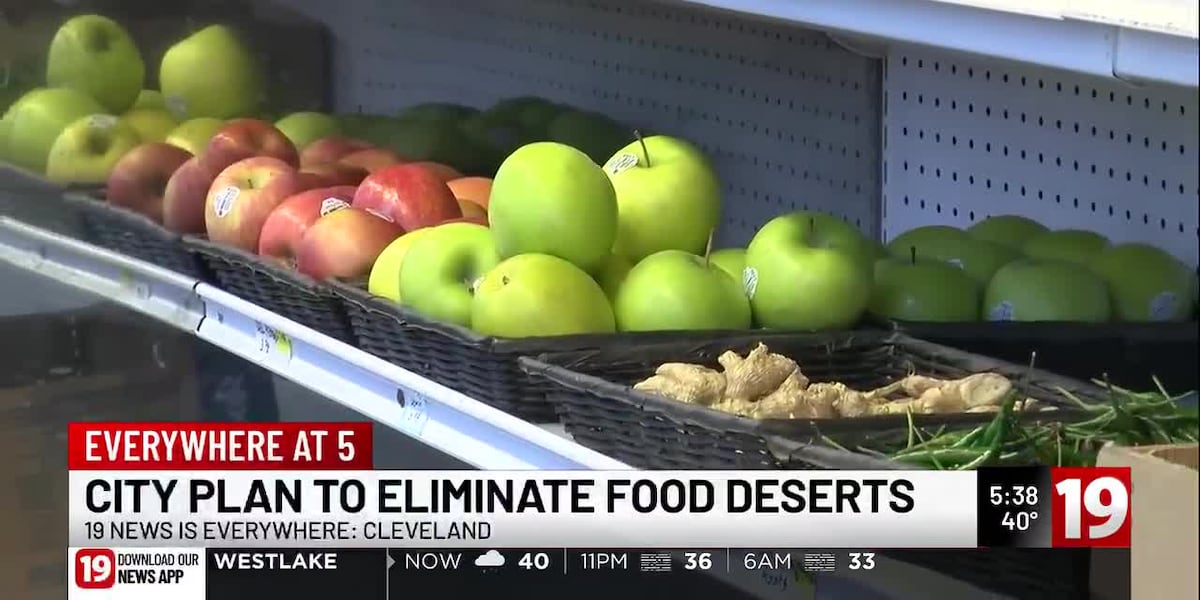 Cleveland city council backs bill to fund grocery stores in food deserts - Cleveland 19 News 5 https3A2F2Fdo0bihdskp9dy.cloudfront.net2F03 03