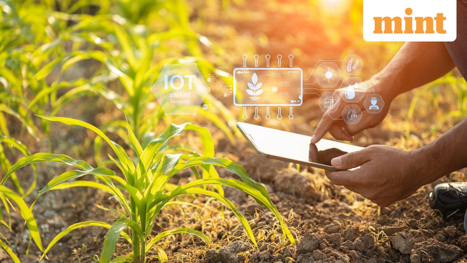 Kris Gopalakrishnan: The age of AI needs a new growth modelgreen innovation and entrepreneurship 1 iStock 1469639791 1773391201464 1773391206559