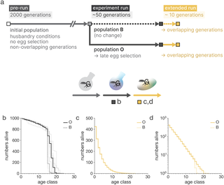 AEGIS: Individual-based modeling of life history evolution 1 image 41