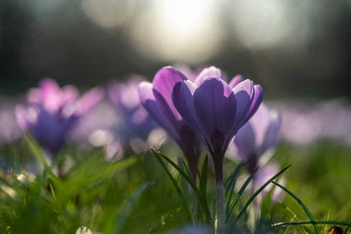 photo 1711039224421 541be404bc65