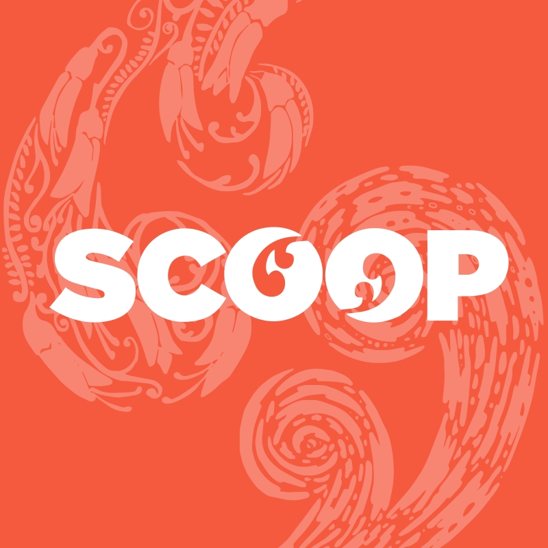 scoop image