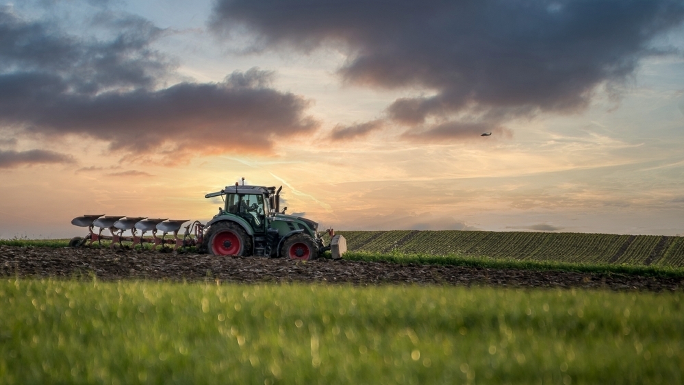 shutterstock 2378189001 3159 1773057988