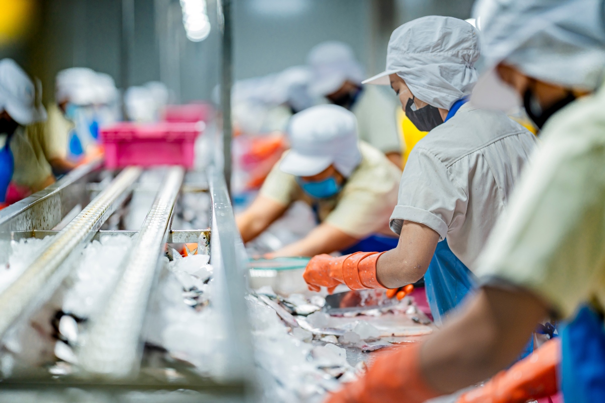 shutterstock 2697850973 food safety