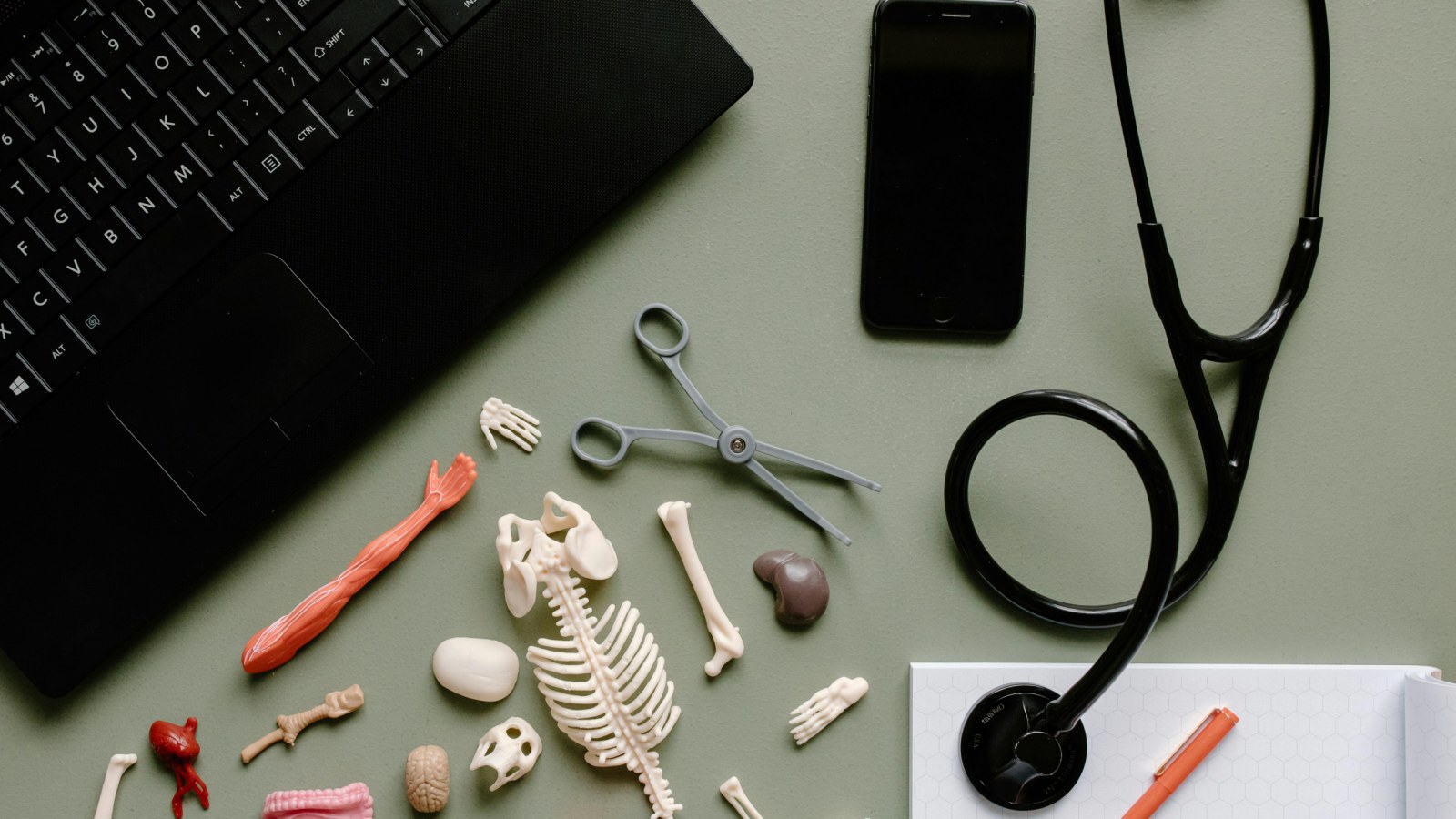 stethoscope phone laptop