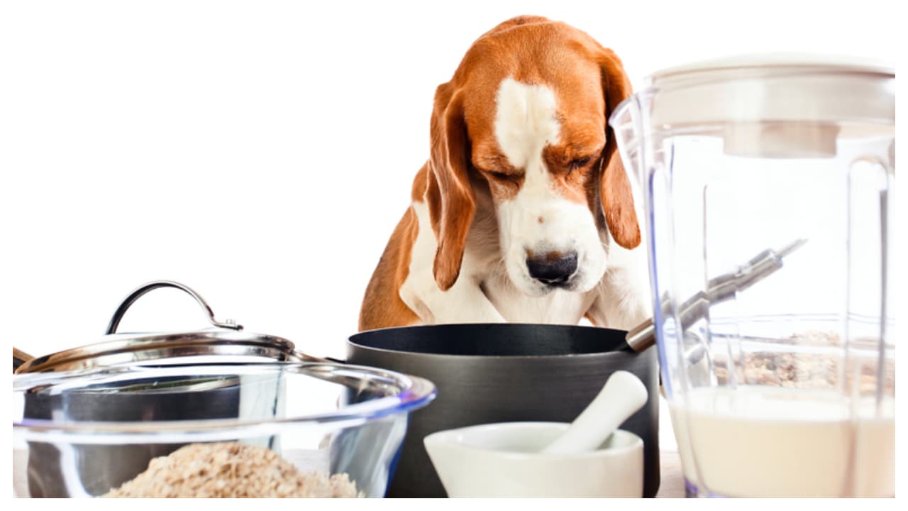 w 1280h 720format jpgimgid 01kkgvxg9dbj803ezqj1qfynczimgname fotojet 2026 03 12t164107.591 1773313900845